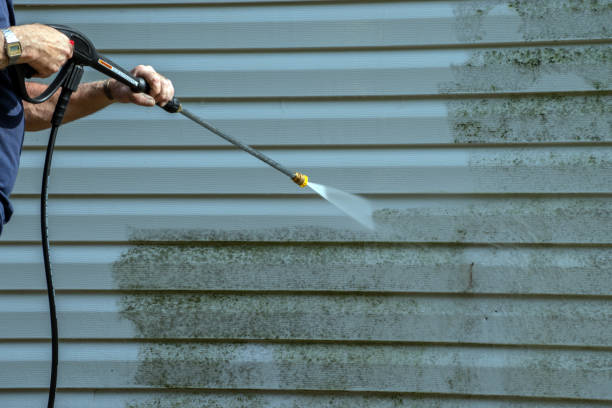  Steger, IL Pressure Washing Pros