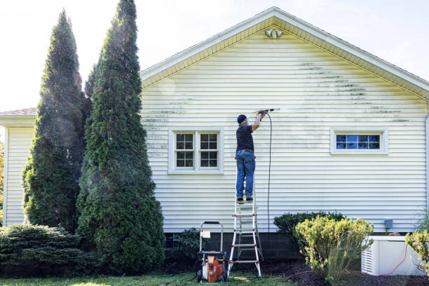 Best Sidewalk Pressure Washing  in Steger, IL