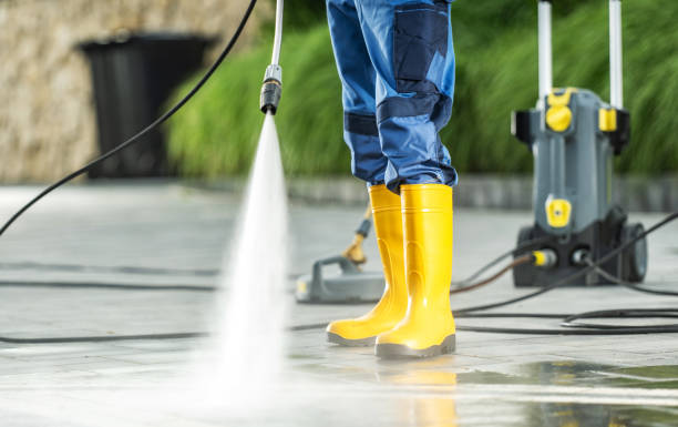 Best Power Washing Near Me  in Steger, IL