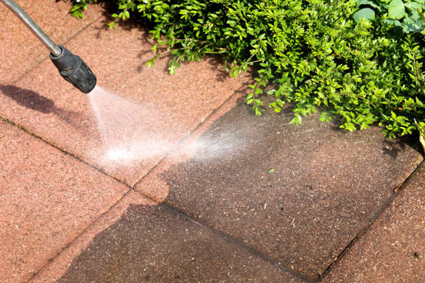 Best Local Pressure Washing Services  in Steger, IL